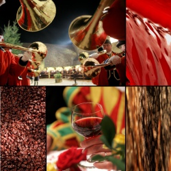 L’Imaginarium : le goût des Climats ! 