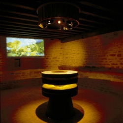 La moutarde, une histoire de terroir !