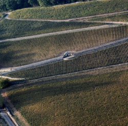 Hiérarchie des Climats