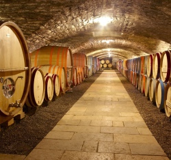 Chassagne-Montrachet : du Climat au verre 