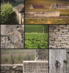 Les Climats du vignoble de Bourgogne au musée du Vin de Bourgogne à Beaune 