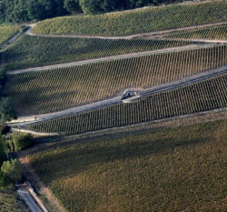 Dégustations et balades dans les Hautes-Côtes 