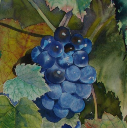 Climats et Lumières 2015, leur signature