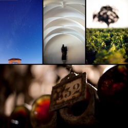 Des Taste-vin et Coupes de Mariage