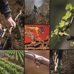 Des œuvres pour les Climats