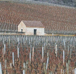 Rencontre avec le patrimoine du Pays Beaunois 