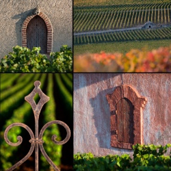 Rencontre avec le patrimoine du Pays Nuiton et de Gevrey-Chambertin