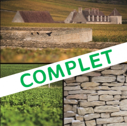 Découverte du Domaine de la Romanée-Conti