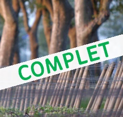 Découverte du domaine du Marquis d'Angerville