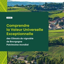 Guide - Comprendre la VUE des Climats